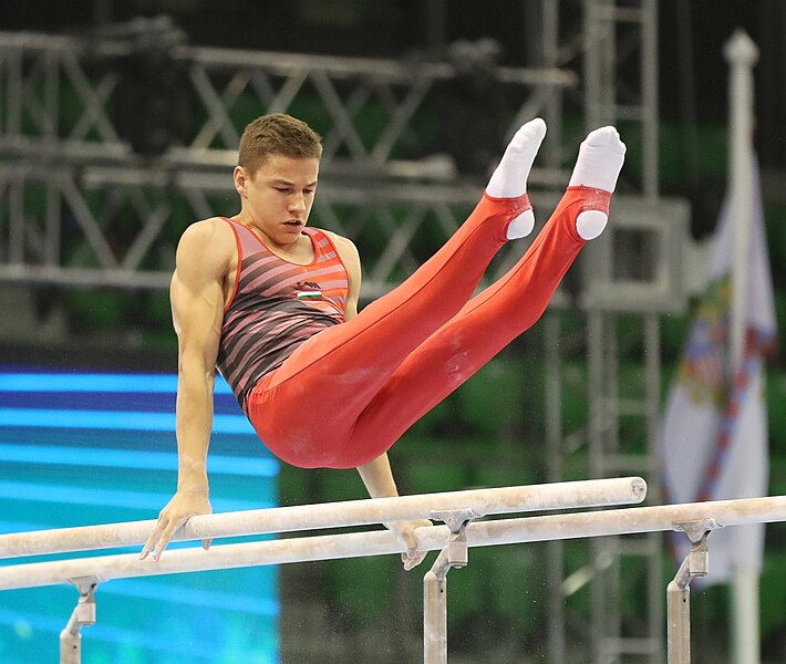 File:2019-06-27 1st FIG Artistic Gymnastics JWCH Men's All-around competition Subdivision 3 Parallel bars (Martin Rulsch) 225.jpg