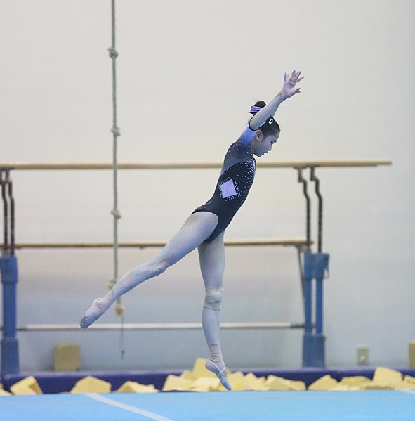 File:2019-11-30 OHC Liberec 2019 WAG Apparatus finals Floor exercise (Martin Rulsch) 14.jpg