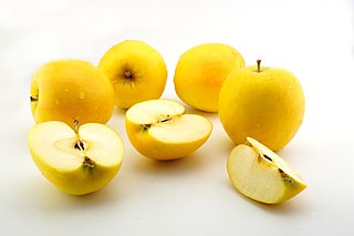 <span class="mw-page-title-main">Opal (apple)</span> Apple cultivar