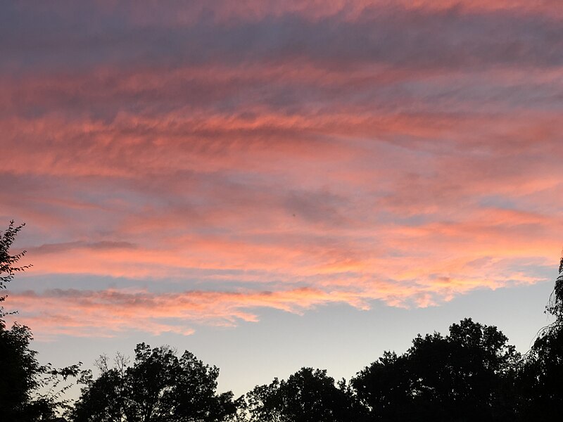 File:2022-06-27 20 45 28 Cirrus clouds illuminated by the setting sun along Delaware Avenue the Mountainview section of Ewing Township, Mercer County, New Jersey.jpg