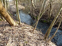 Deutsch: Die Schussenquelle bei Bad Schussenried. Die Schussen mündet in den Bodensee. English: The Schussenquelle near Bad Schussenried. The Schussen flows into Lake Constance.