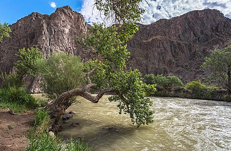 163. Charyn National Park author - Marat Rysbekov