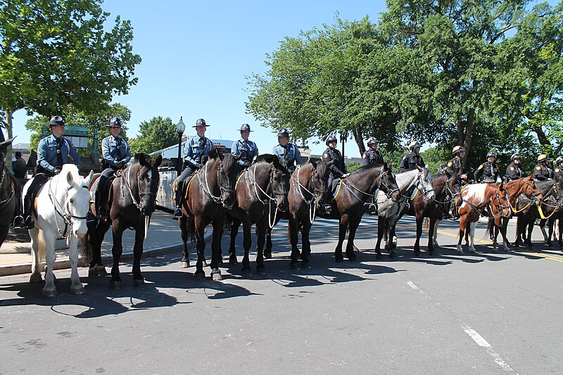 File:32.MountedPolice.NPOM.WDC.15May2017 (34824901281).jpg