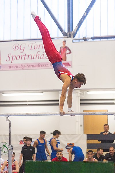 File:5th Budapest Cup 2019-05-25 Sam Mostowfi (Norman Seibert) - 05213.jpg