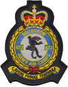 673 (AH TRG) Crest