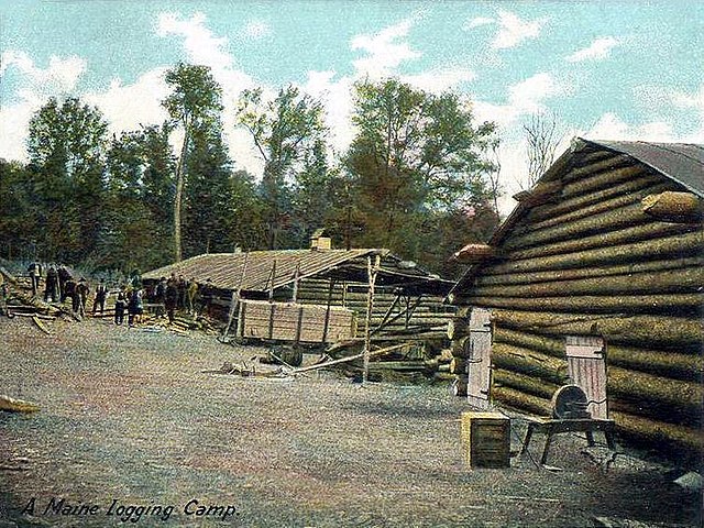 A Maine logging camp in 1906