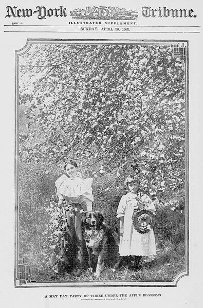 File:A May Day party of three under the apple blossoms LOC 3993904080.jpg