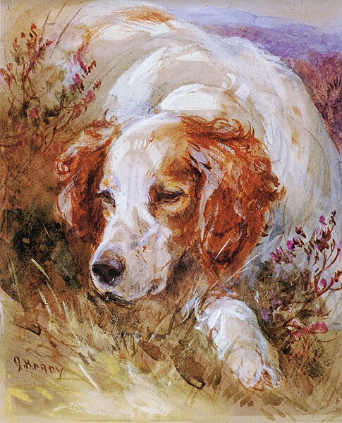 File:A Spaniel. Painting by James Hardy junior.jpg