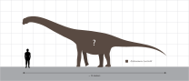 Abdarainurus Size Comparison.svg