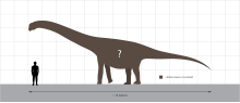 Size of Abdarainurus compared to a human Abdarainurus Size Comparison.svg
