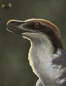 Acheroraptor в представлении художника