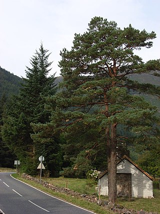 <span class="mw-page-title-main">Achriabhach</span> Human settlement in Scotland