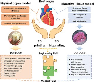 <span class="mw-page-title-main">3D bioprinting</span> Utilization of 3D printing to fabricate biomedical parts