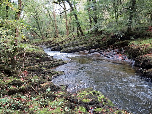 Afon Cothi (geograph 6614902)