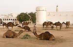 Vignette pour Culture du Qatar