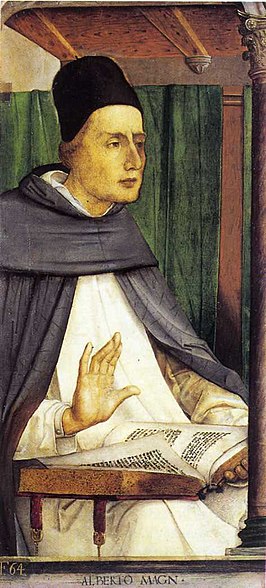 ALBERTO MAGN, Albertus Magnus (ca.1472/76), Joos van Gent/Pedro Berruguete, Galleria Nazionale delle Marche (Urbino)