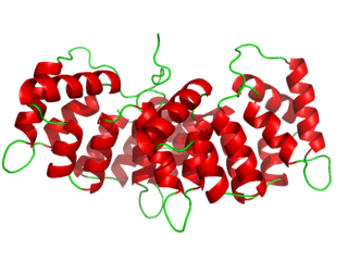 Annexin Protein family