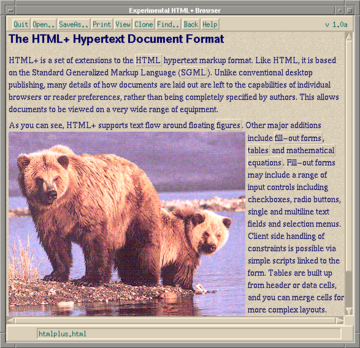 HTML+ document rendered