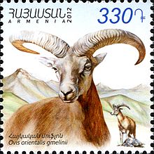 Armenian mouflon 2012 Armenian stamp.jpg