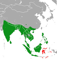 Distribuo: indiĝena = verda, nova = ruĝa