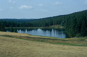 Der Auerhahnteich vom ehemaligen Gasthaus Auerhahn aus gesehen