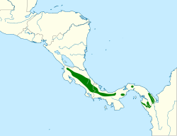 Aulacorhynchus caeruleogularis map.svg