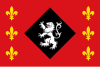 پرچم Foixà