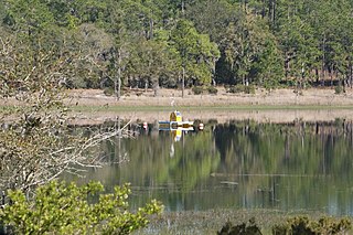 <span class="mw-page-title-main">Lake Barco</span> Lake in Putnam County, Florida