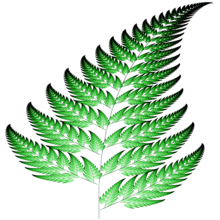 Barnsley fern Barnsley fern 1024x1024.png