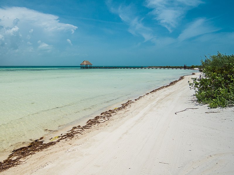 File:Beach Holbox island Mexico Strand (20179792185).jpg