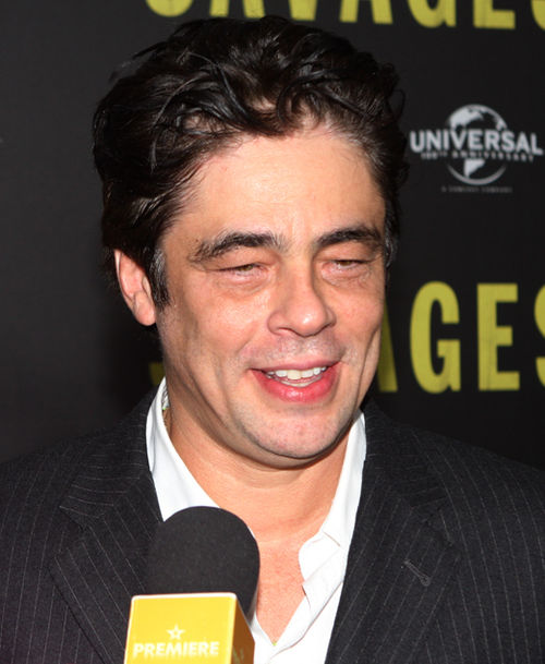 Benicio del Toro, winner of Best Supporting Male