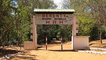 Berenty naturreservat