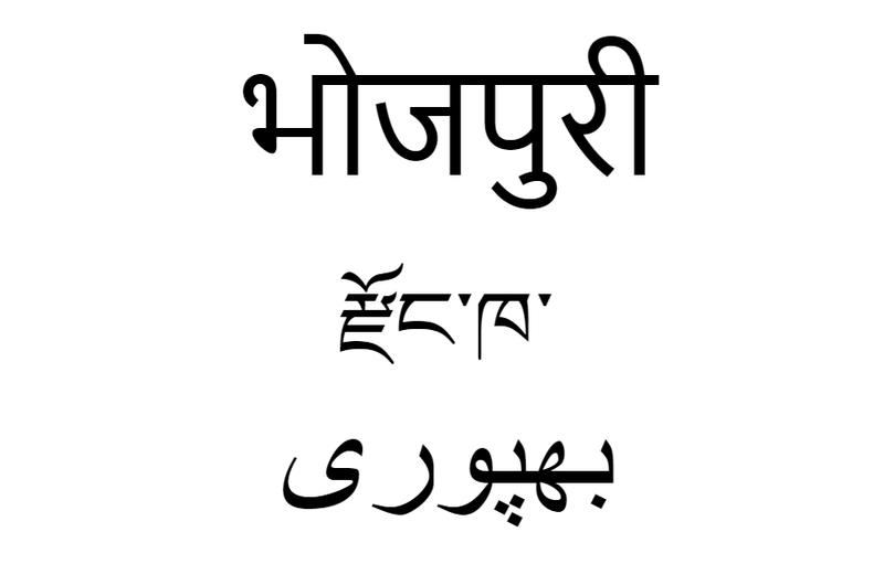 File:BhojpuriScrpit3L.png