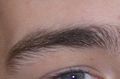 Eyebrows often thicken with puberty.