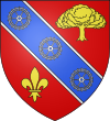 Blason de Choisel