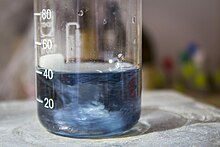 Positive iodine reaction (I+ blue) in the hymenium of Enchylium polycarpon Blue Solution.jpg