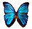 MorphOS