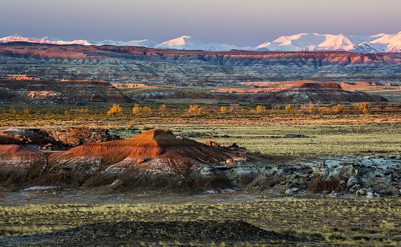 File:Bobcat Draw Wilderness Study Area.jpg