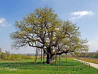 Breiteiche bei Gottwollshausen