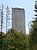 Burgruine Montagny-les-Monts