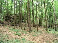 Bild 1: Blick auf das Gelände der Vorburg, links und im Hintergrund der Felsen der Oberburg