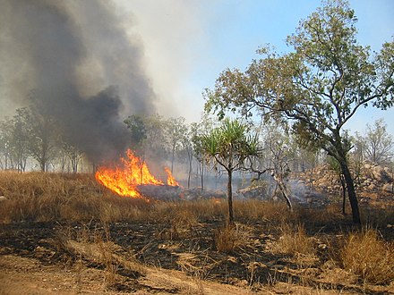 Bushfire in Kakadu National Park, Australia