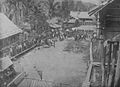COLLECTIE TROPENMUSEUM Het slachten van runderen tijdens de grote verzoening in de Dajak kampong Toembanganoi onder leiding van de controleurs A.C. de Heer en J.P.J. Barth, Midden-Borneo. TMnr 60046395.jpg