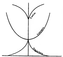 Calculus of Variations Harris Hancock Article 36 graphic2.png