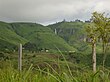 Cameroon - landscape.jpg