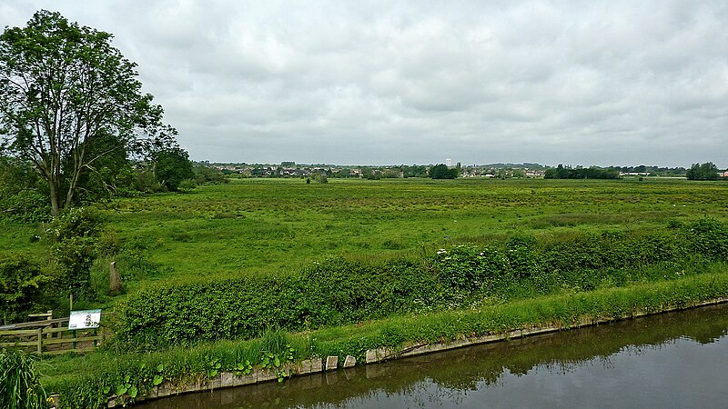 File:Canal and Radford Meadows near Stafford - geograph.org.uk - 6018721.jpg