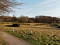 former natural obstacle course (race track area, "racing meadow")