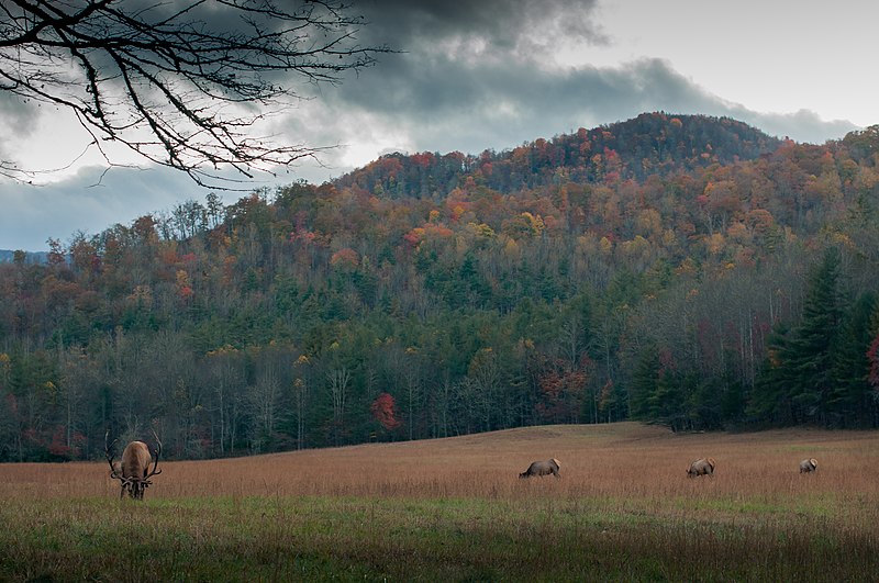 File:Cataloochee, United States (Unsplash eqJaXgR1Pmc).jpg