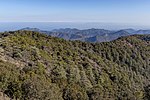 Vignette pour Forêt domaniale de Pafos