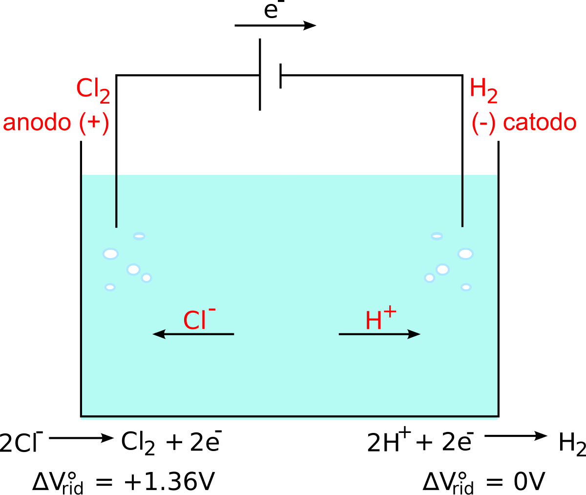 File:Cella.svg - Wikimedia Commons